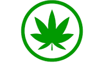 CannaRise Dispensary & Delivery Store